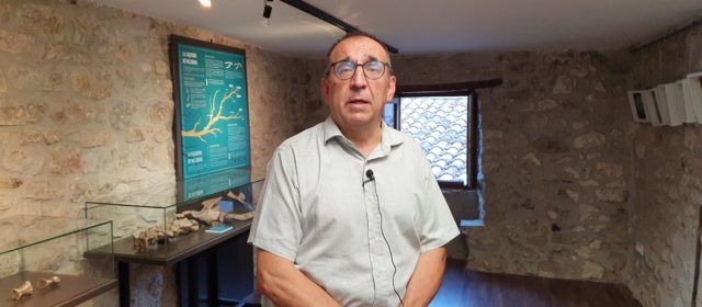 Vídeo: declaracions del paleontòleg José Miguel Gasulla