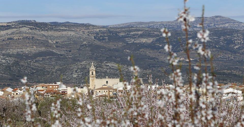 Albocàsser treballa per a solucionar el proveïment d’aigua a explotacions ramaderes