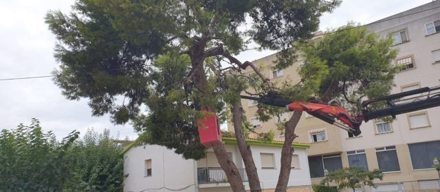 L’Ajuntament de Vinaròs millora les instal·lacions educatives per al nou curs