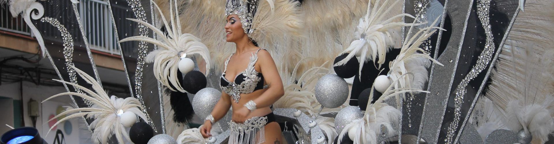El Carnaval de Vinaròs 2023 convoca el concurs del cartell anunciador