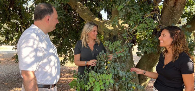 El PPCS demana 400.000 euros a Diputació perquè els municipis contracten guardes rurals que eviten robatoris en el camp