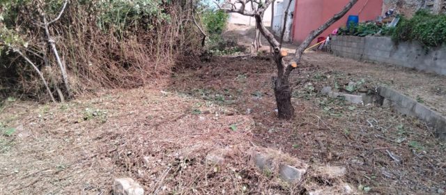 La brigada EMERGE de Santa Magdalena inicia la seua activitat
