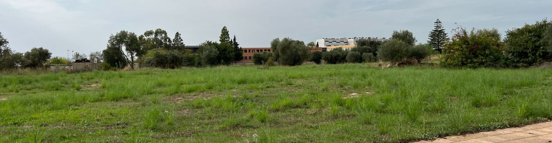 Subvenció de la Generalitat per al parc verd que Vinaròs farà al carrer Papa Joan XXIII 