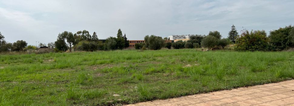 Subvenció de la Generalitat per al parc verd que Vinaròs farà al carrer Papa Joan XXIII 