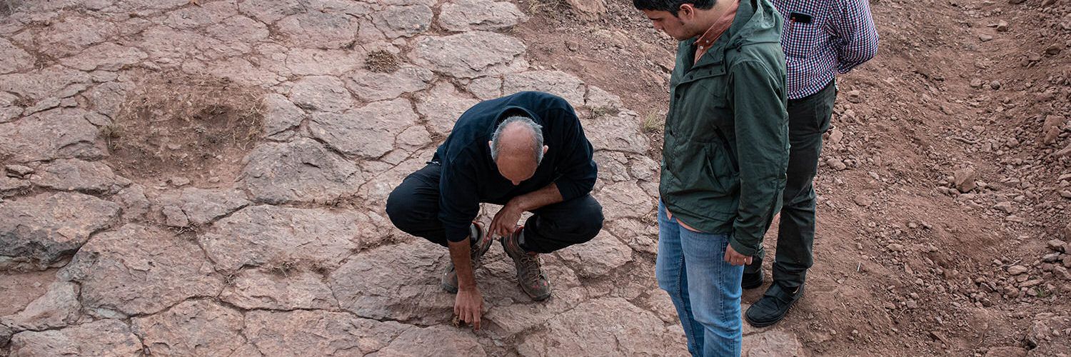 Nou jaciment amb petjades de dinosaure a Morella