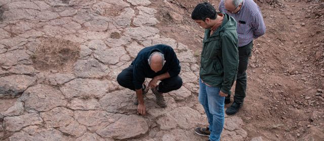 Nou jaciment amb petjades de dinosaure a Morella