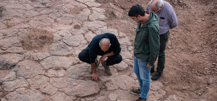 Nou jaciment amb petjades de dinosaure a Morella