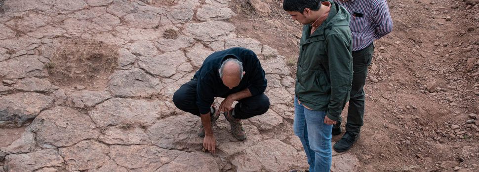 Nou jaciment amb petjades de dinosaure a Morella