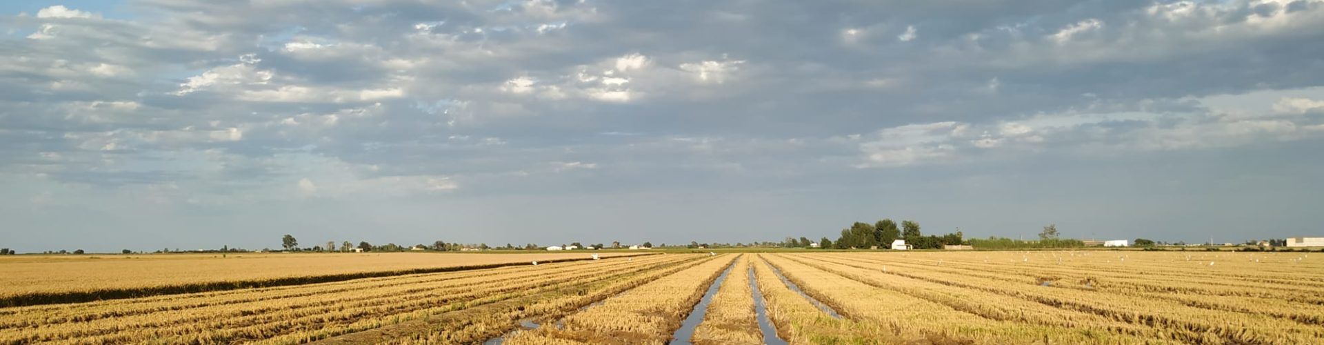 Paisatges de tardor al Delta de l’Ebre, per Joan Ferré