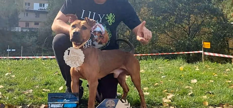 Un perro de Vinaròs, campeón de Europa de EPF en Polonia