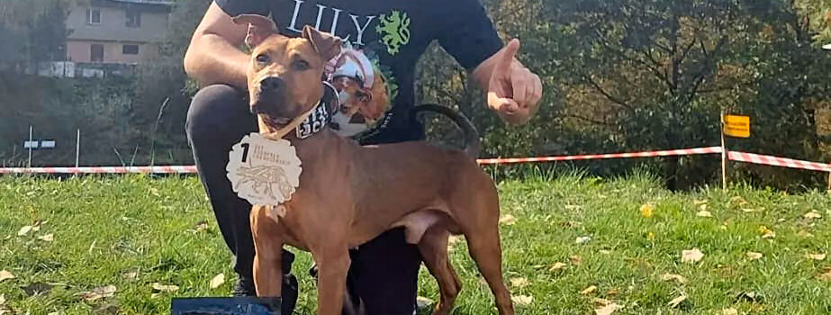 Un perro de Vinaròs, campeón de Europa de EPF en Polonia