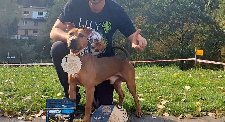 Un perro de Vinaròs, campeón de Europa de EPF en Polonia