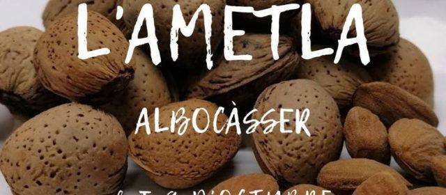 Albocàsser serà el centre de l’ametla provincial els dies 8 i 9 d’octubre