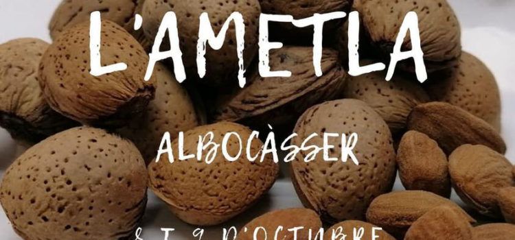 Albocàsser serà el centre de l’ametla provincial els dies 8 i 9 d’octubre