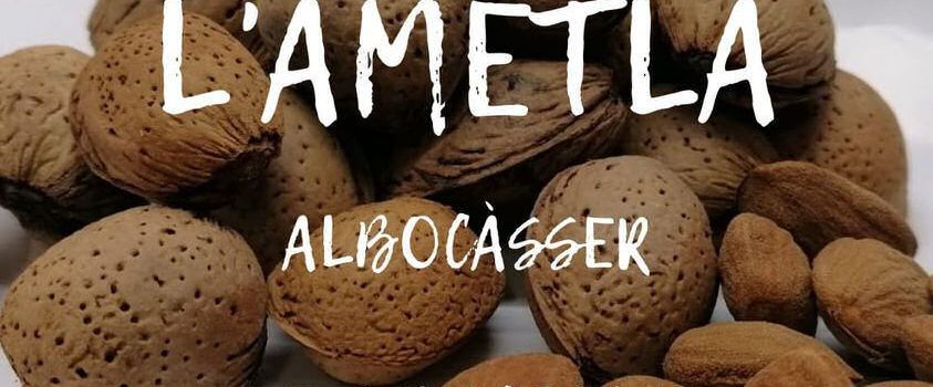 Albocàsser serà el centre de l’ametla provincial els dies 8 i 9 d’octubre