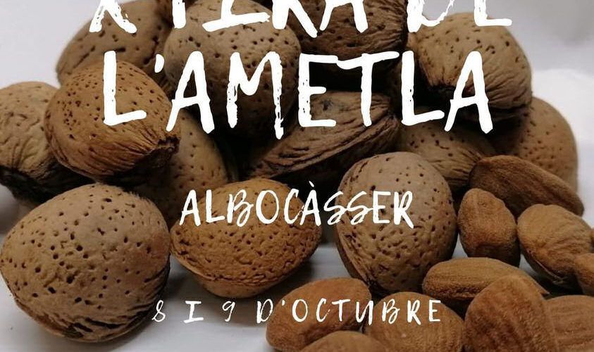 Albocàsser serà el centre de l’ametla provincial els dies 8 i 9 d’octubre