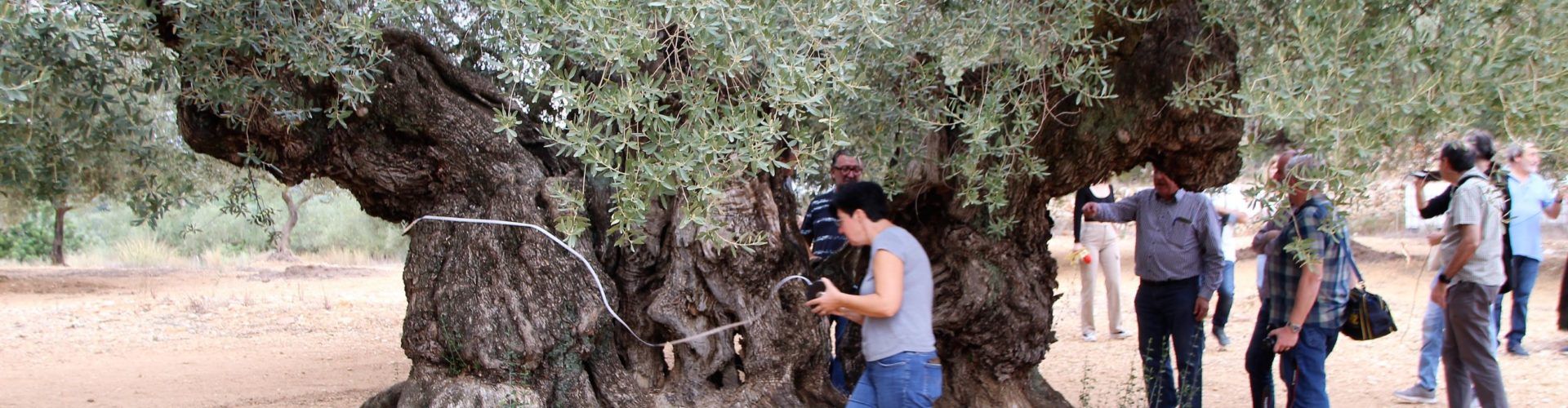 Rutes per a despertar els sentits pel territori del Sénia