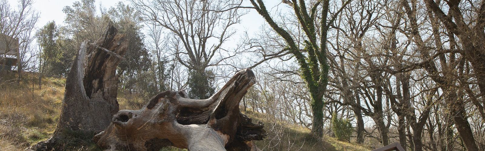Més seguretat i senyalització al Rivet de Benassal amb Alt Maestrat Human Land