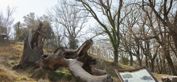 Més seguretat i senyalització al Rivet de Benassal amb Alt Maestrat Human Land