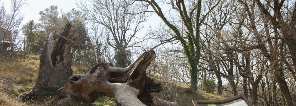 Més seguretat i senyalització al Rivet de Benassal amb Alt Maestrat Human Land