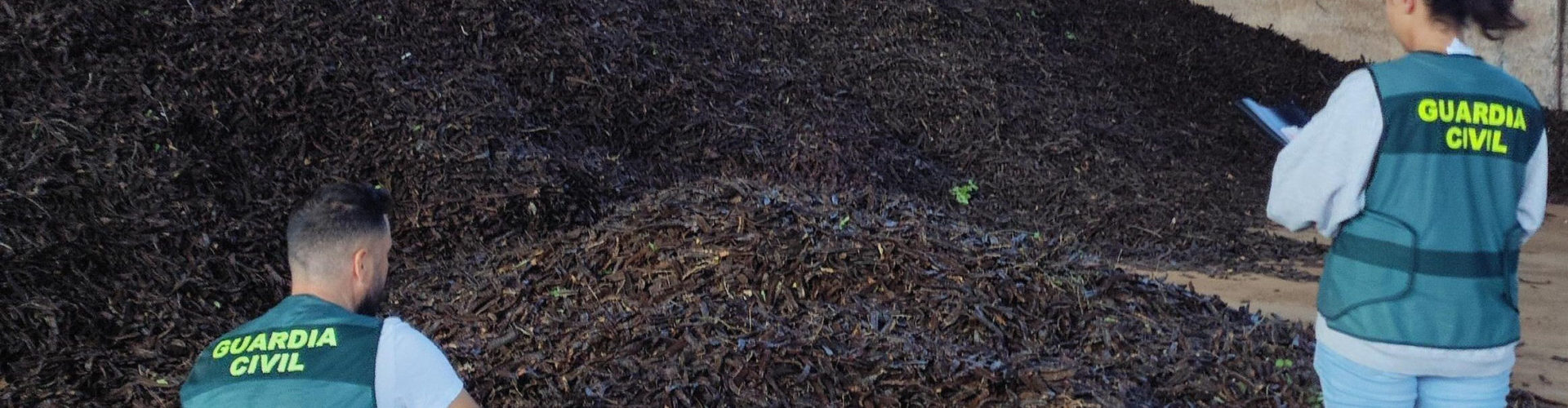 La Guardia Civil ha investigado a 15 personas por el hurto de dos toneladas de algarrobas y por la sustracción de material de obra en localidades del Baix Maestrat