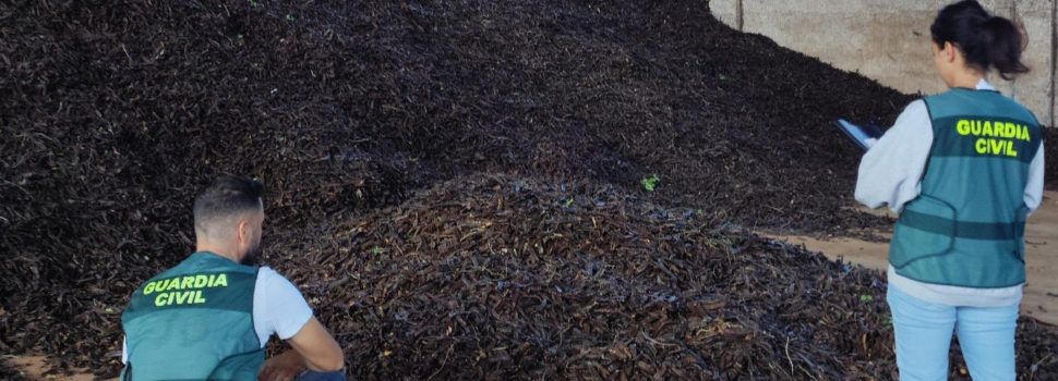 La Guardia Civil ha investigado a 15 personas por el hurto de dos toneladas de algarrobas y por la sustracción de material de obra en localidades del Baix Maestrat 