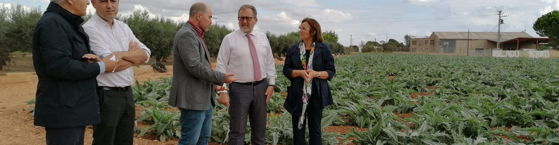 La Diputació de Castelló reforça el seu suport a la Carxofa de Benicarló