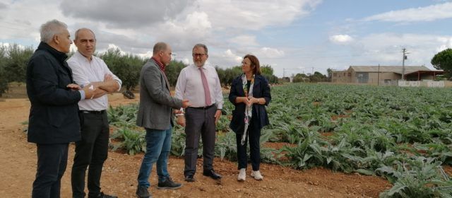 La Diputació de Castelló reforça el seu suport a la Carxofa de Benicarló