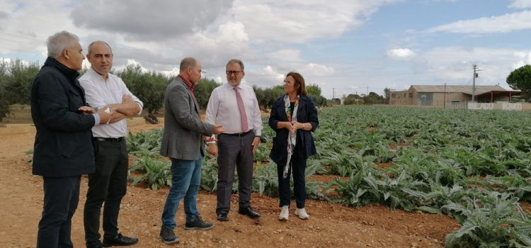 La Diputació de Castelló reforça el seu suport a la Carxofa de Benicarló