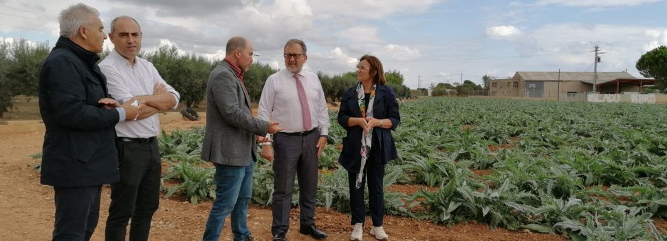 La Diputació de Castelló reforça el seu suport a la Carxofa de Benicarló