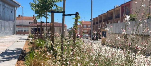 L’Ajuntament d’Amposta planta més de 400 arbres i en reposa 270 en els últims tres anys
