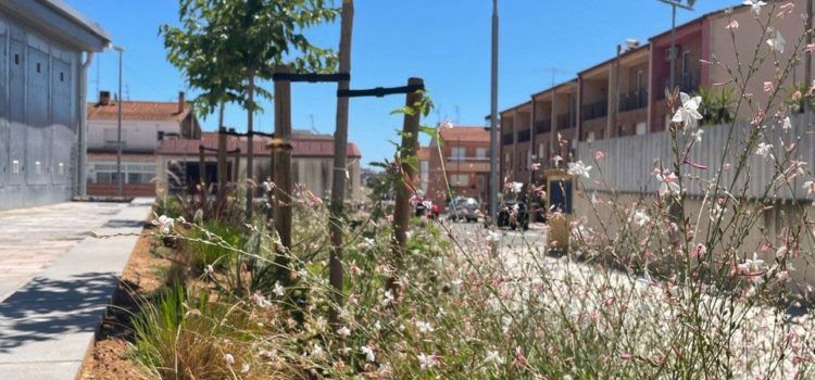 L’Ajuntament d’Amposta planta més de 400 arbres i en reposa 270 en els últims tres anys
