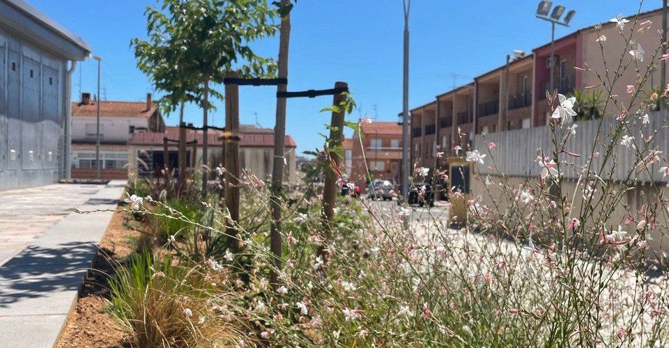 L’Ajuntament d’Amposta planta més de 400 arbres i en reposa 270 en els últims tres anys