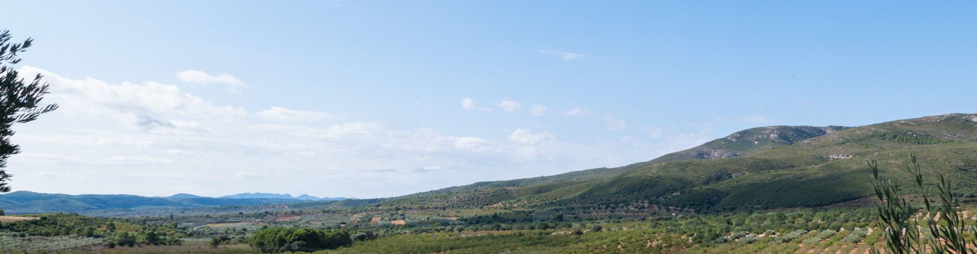 Nostra Terra opina sobre l’últim ple municipal de les Coves de Vinromà