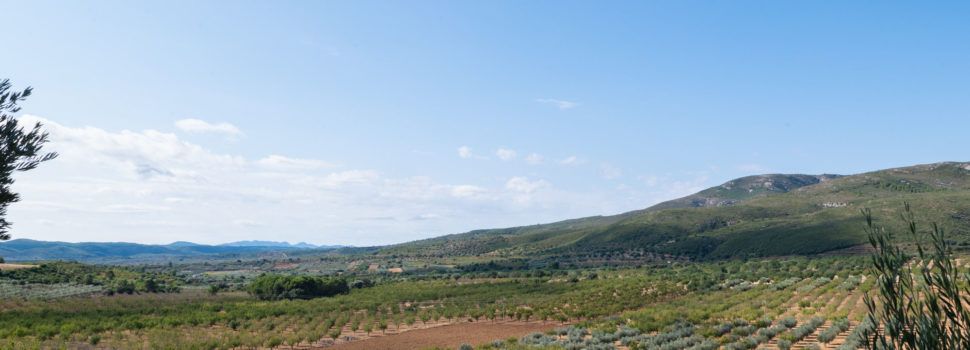 Nostra Terra opina sobre l’últim ple municipal de les Coves de Vinromà