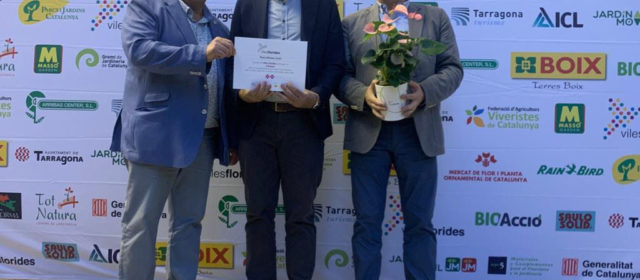 L’Aldea premiada en dos Flors d’Honor a Viles Florides en el seu primer any de participació