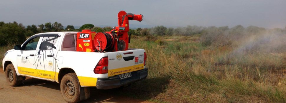 La Diputació de Castelló manté actiu el Pla Provincial contra els Mosquits pese la baixada de temperatures i la proximitat de l’hivern