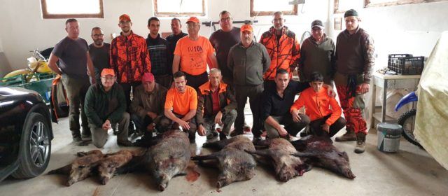 Bona temporada de caça del porc senglar a Vallibona