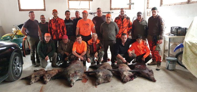 Bona temporada de caça del porc senglar a Vallibona