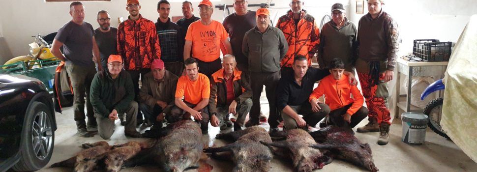 Bona temporada de caça del porc senglar a Vallibona