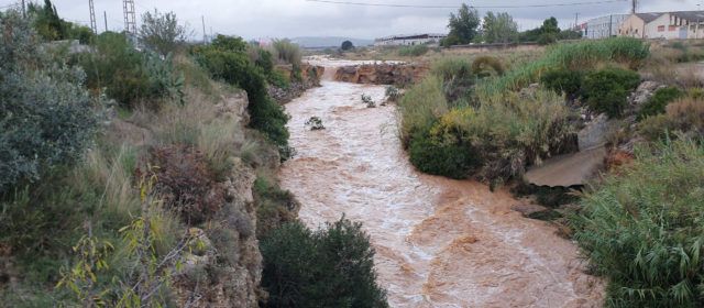 Vídeos: El Cervol arriba a la costa carregat d’aigua