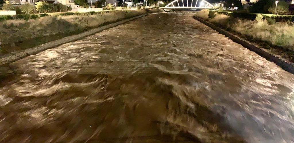 El Cervol comença a baixar cabal a Vinaròs de forma considerable