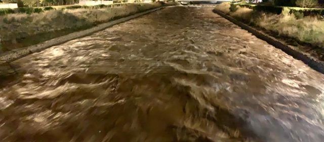 El Cervol comença a baixar cabal a Vinaròs de forma considerable