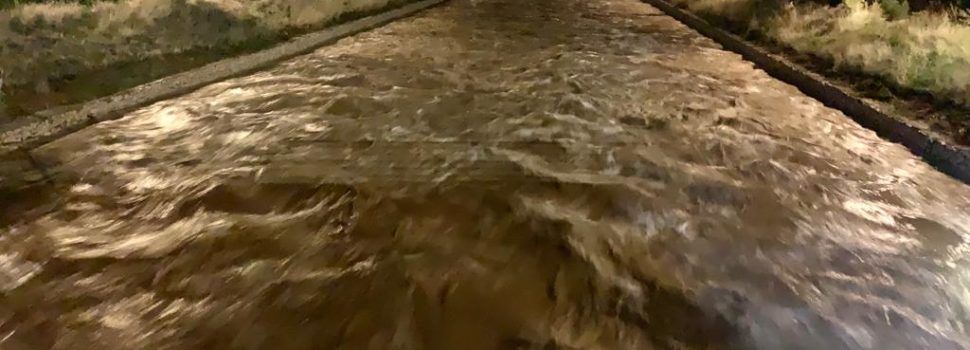 El Cervol comença a baixar cabal a Vinaròs de forma considerable