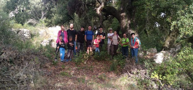 Vídeo i fotos de la visita guiada a roures i carrasques de Vallibona