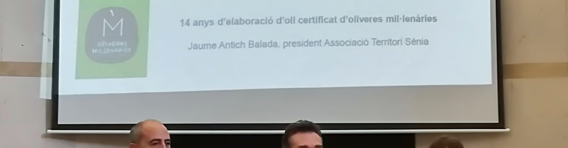 La Diputació de Castelló defensa el potencial turístic de les oliveres mil·lenàries com a eina per a lluitar contra la despoblació