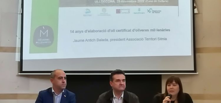 La Diputació de Castelló defensa el potencial turístic de les oliveres mil·lenàries com a eina per a lluitar contra la despoblació