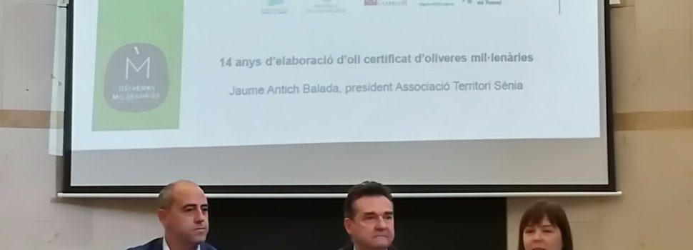 La Diputació de Castelló defensa el potencial turístic de les oliveres mil·lenàries com a eina per a lluitar contra la despoblació