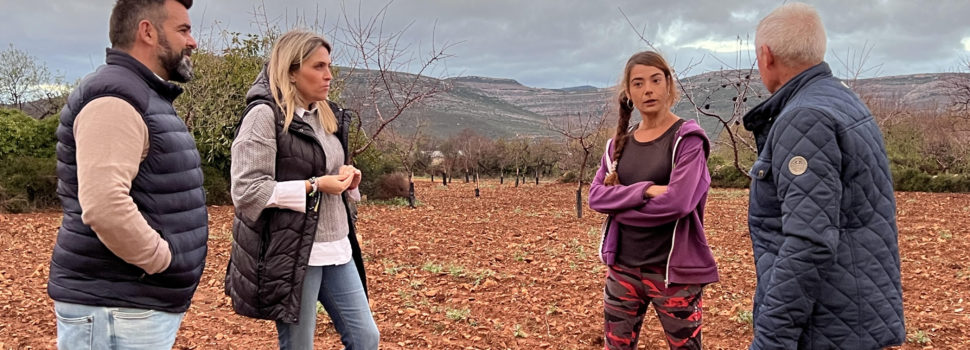 Marta Barrachina reclama en Albocàsser apoyo y ayudas directas para la agricultura en el interior de Castellón