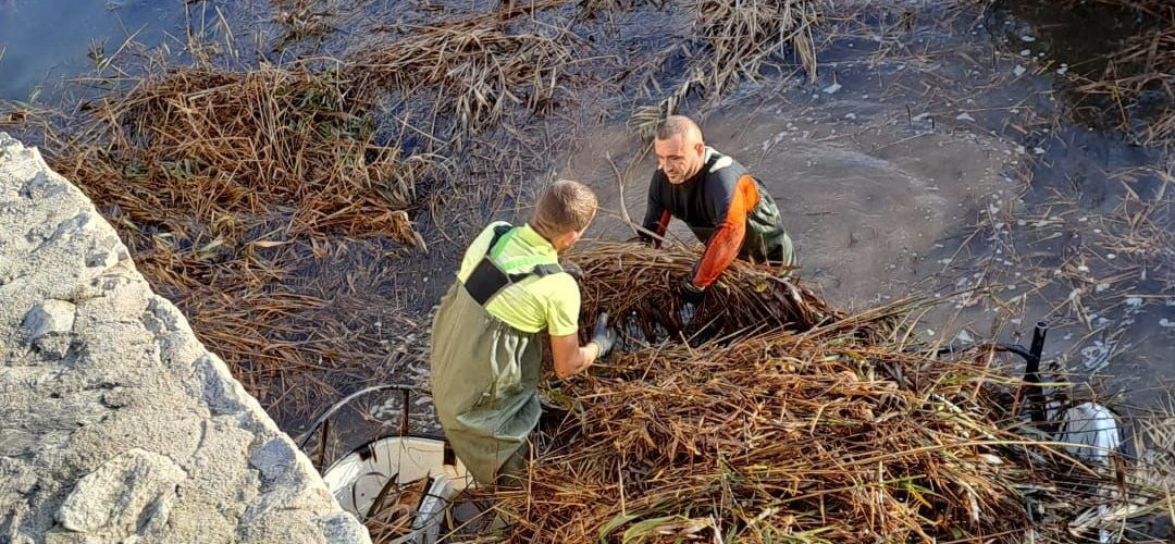Benicarló neteja el Barranquet
